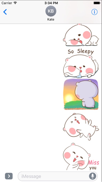 Lovely Fluffy Bear