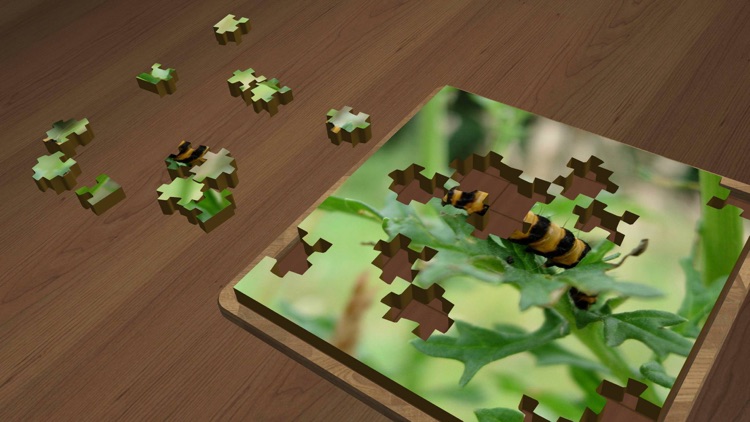 Super Jigsaws Bugs & Creatures