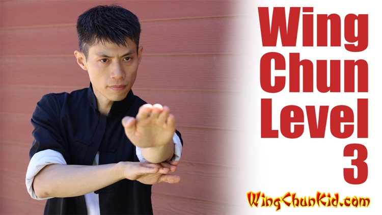 Jeet Kune Do Basics JKD Martial Arts Lessons screenshot-3