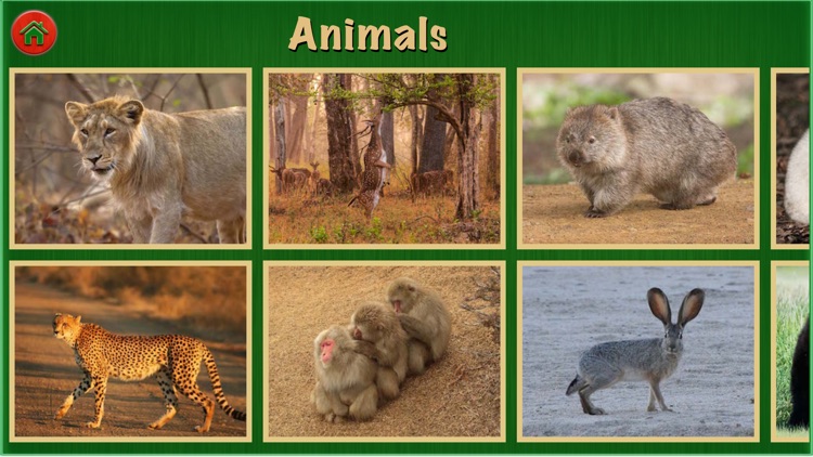 Animal World Pro For Kids and Toddlers Education screenshot-4