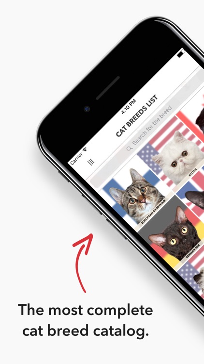 Kittylog - The Complete Catalog Of Cat Breeds