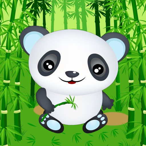 Panda Bear Run iOS App