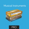 Musical Flashcards for babies and preschool Pro