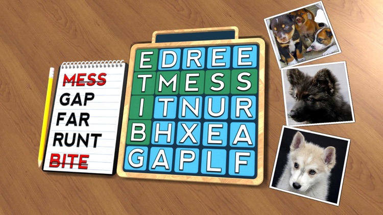 Wordsearch Revealer Puppies