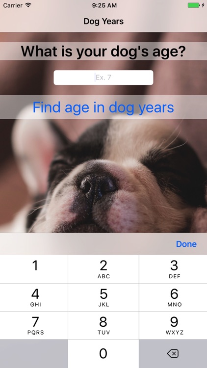 Dog Years - Fun And Simple Converter For Dog Years