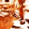 2017 Asian Deer Shooting : Play Pefect Hunting Pro