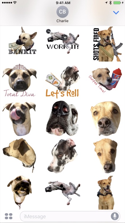 Bog Brothers Sticker Pack