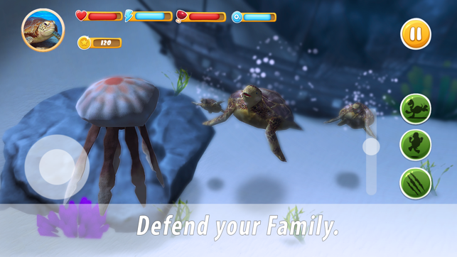 Turtle Family Simulator(圖3)-速報App