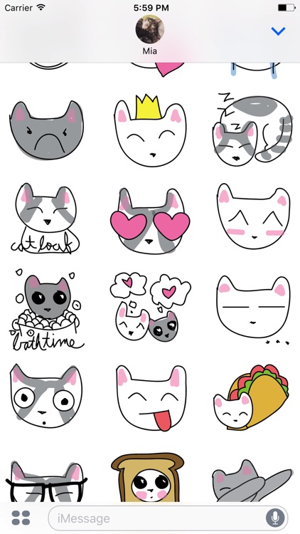 Hampton Cats