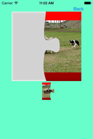 Dog Jigsaw Puzzle screenshot 4