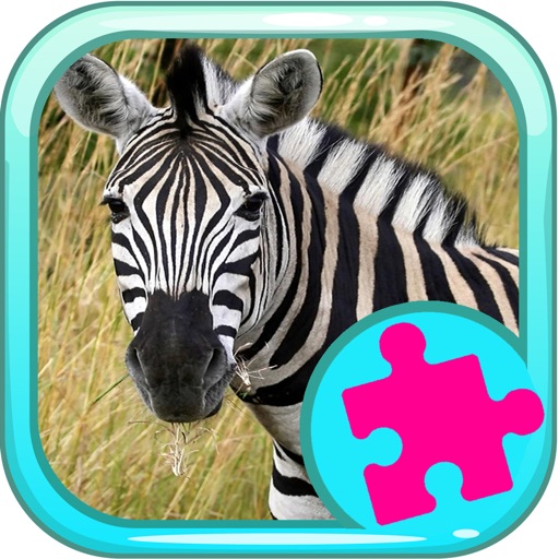 Puzzle Zebra Games And Jigsaw For Kids