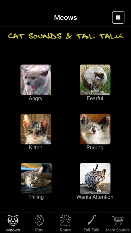Cat Sounds & Tail Talk - Meows, Toy & Translator