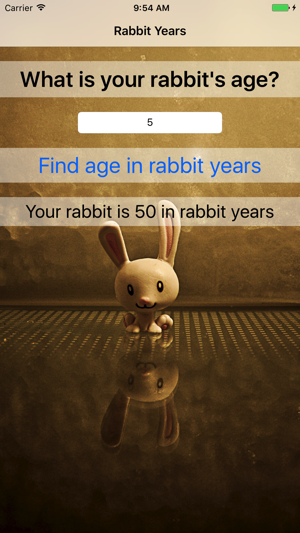 Rabbit Years - Simple Converter For Rabbit Years(圖4)-速報App