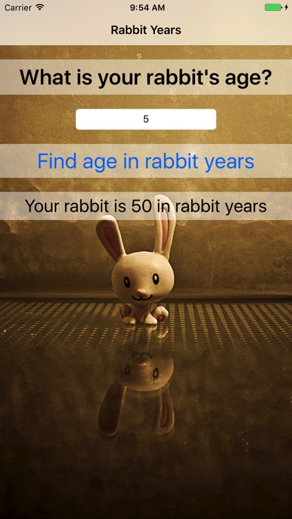 Rabbit Years - Simple Converter For Rabbit Years screenshot-3