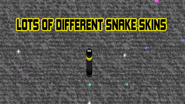 Snake On The Carpet(圖3)-速報App