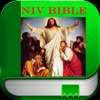 NIV Bible (Audio) Fire Study Bible tools