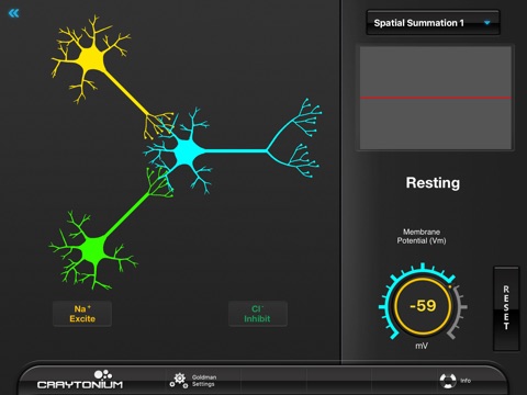 Craytonium Interactive Neurophysiology screenshot 3