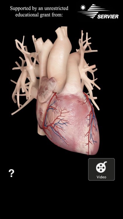 Cardiological Premium - Mobile Edition