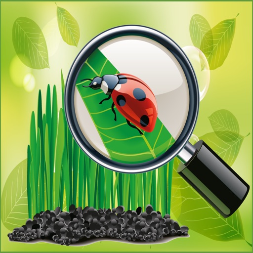 Natural Beauty Hidden Objects Game Icon