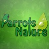 Parrots Nature