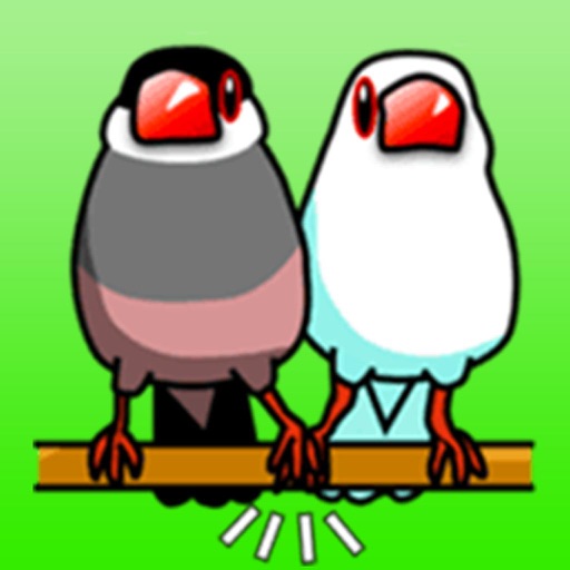 Bird Love! icon