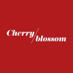 Cherry Blossom