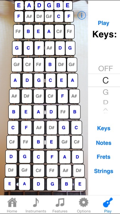 Super Guitar Fretboard Lite screenshot-3