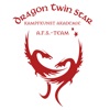 Dragon Twin Star Akademie