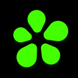 ICQ New: 視頻聊天軟件，給朋友發短信並打電話 图标
