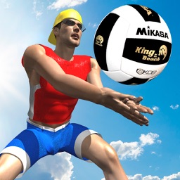 BeachVolley*Pro