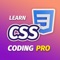 This app will make you a complete CSS Programmer