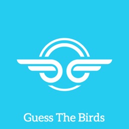 Guess The Birds