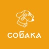 Собака Лу