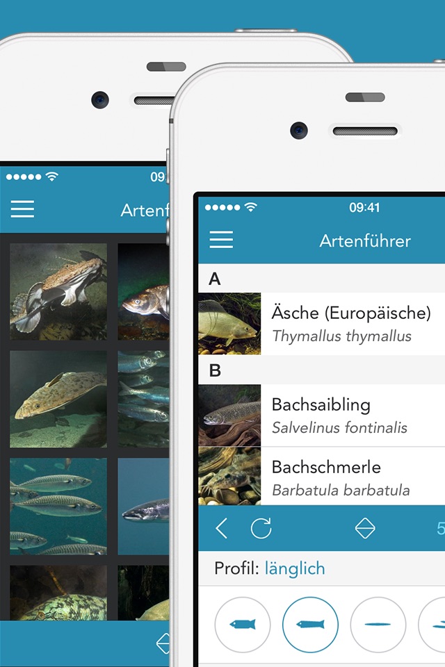 Fishes PRO - Field Guide screenshot 2