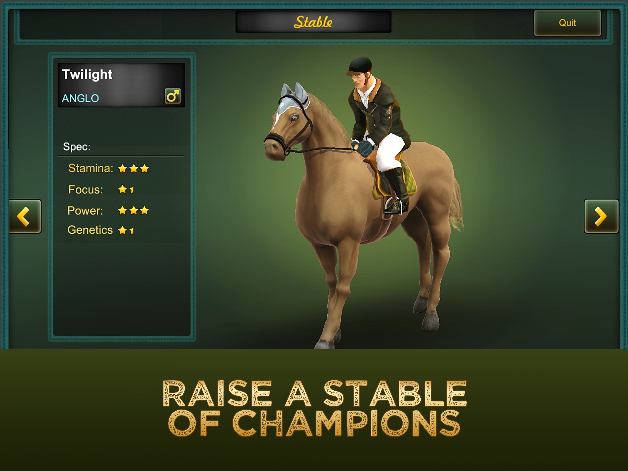 Jumping Horses Champions 2 screenshot 3