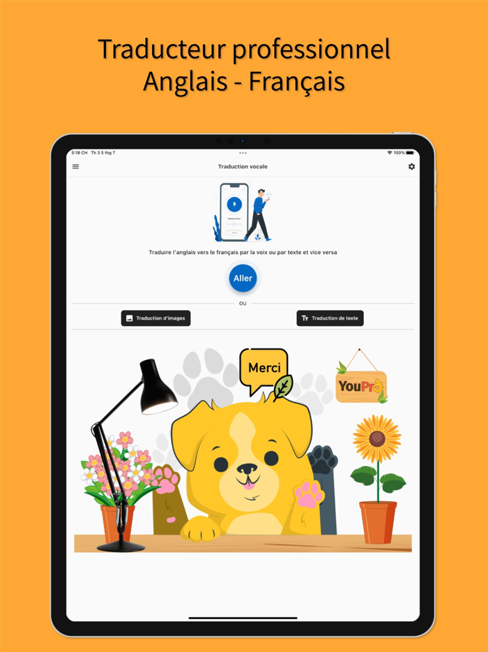 English to French Traduction