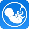 Meine Schwangerschafts-App PRO