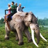Elephant Wild Forest Safari 3D - iPadアプリ