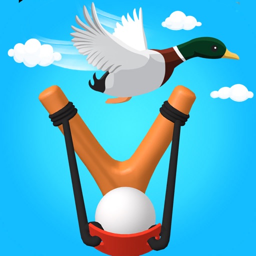 Slingshot 3D - Bird Hunt