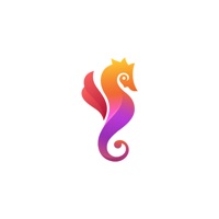 Hippocampe.io