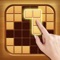 Wood Block Puzzle - Board Games is a classic addictive wooden style block puzzle game
