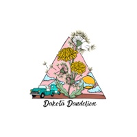 Dakota Dandelion