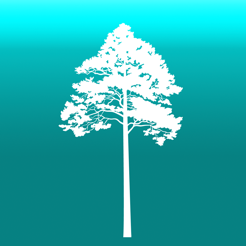 ‎Arboreal - Baum