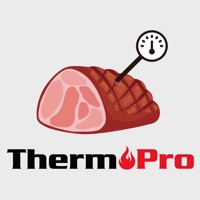 ThermoPro BBQ