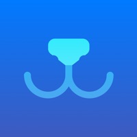 Bulka – дрессировка по плану