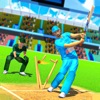 Real Indian T20 Cricket League