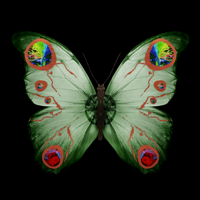ECR 2022