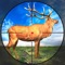 Icon Hunting Games 2022 : Wild Deer