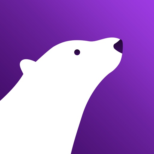 Polar VPN Icon