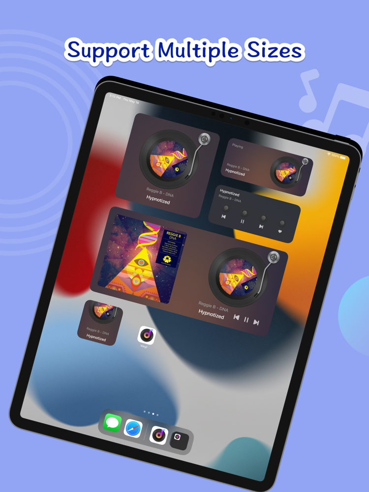 Vinyl Widget Vinyl Record App App for iPhone Free Download Vinyl